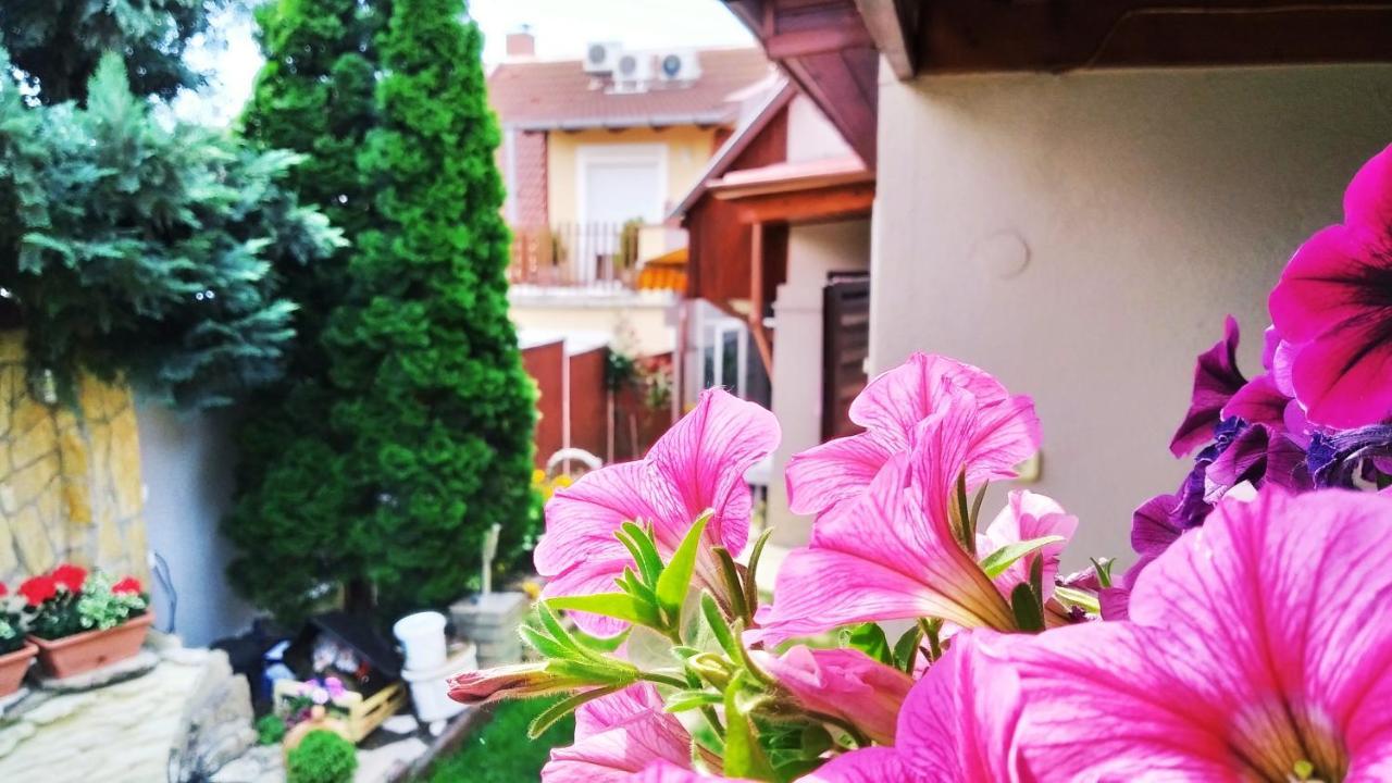 Ferienwohnung Csobogo Vendeghaz Erlau Exterior foto