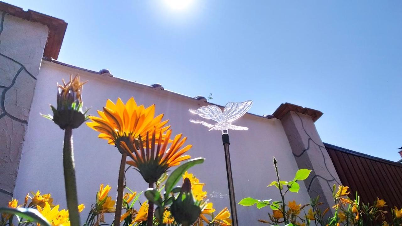 Ferienwohnung Csobogo Vendeghaz Erlau Exterior foto